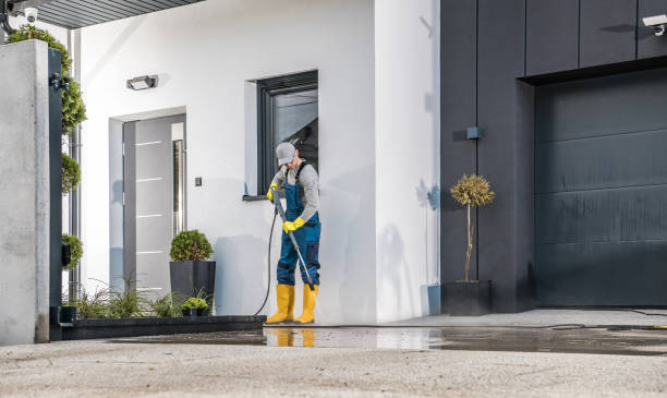 Best Roof Cleaning and Mildew Removal in Belmont, CA